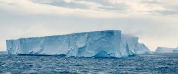 Three generations in the ice