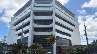 Our office in Auckland, New Zealand