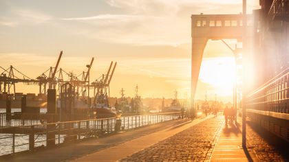 Counter-drone solutions 