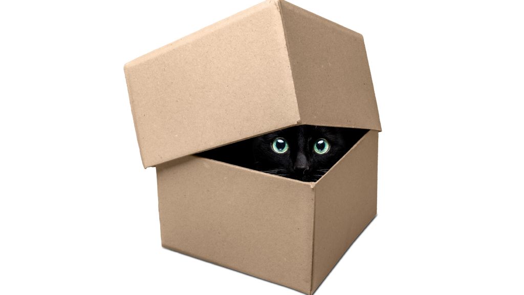 Discovering the Hidden 