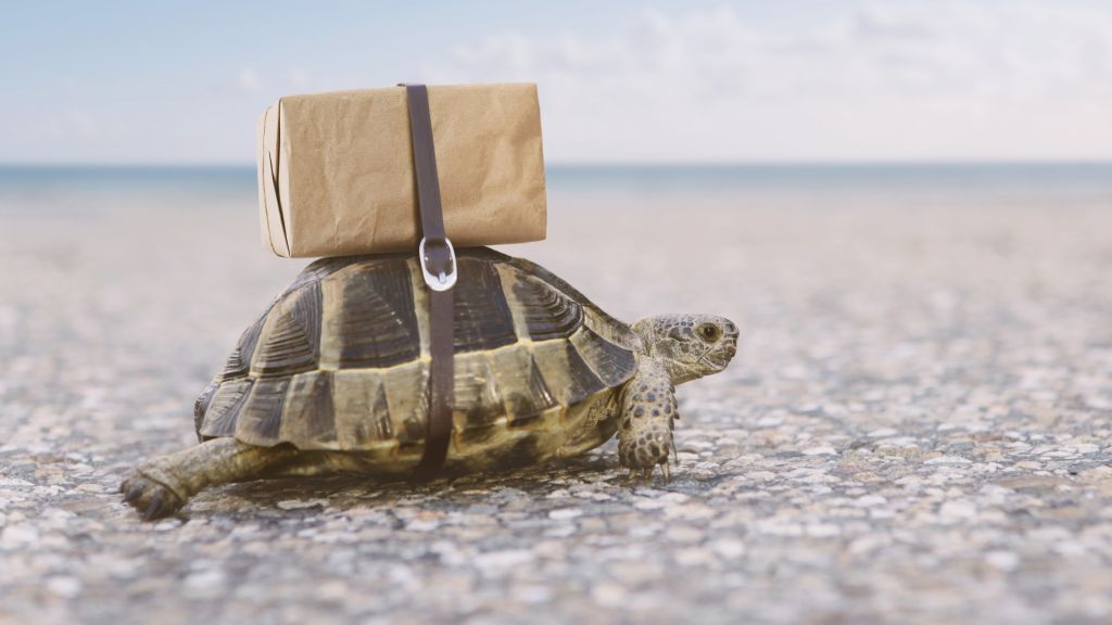 Interactivity test: Packet delay variation and packet loss (part 6)