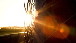 Demystifying EMC 2020 - What is the Value in Attending?