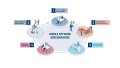 Video: Network benchmarking – Gain QoE-centric insights on your own and your competitor’s networks