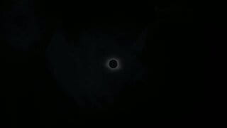 FSWX signal and spectrum analyzer